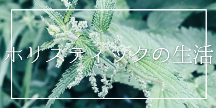 cook 今日なに作ろ？